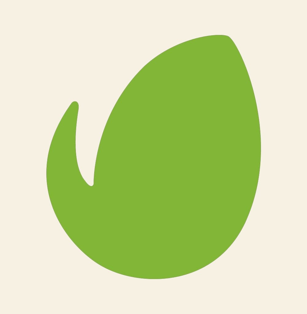 Logo da ferramenta Envato